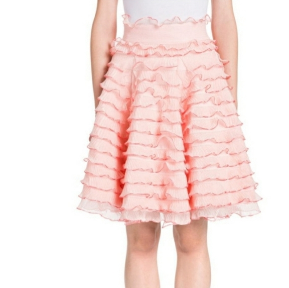 CLOSET CLEAROUT! ALEXANDER MCQUEEN RUFFLE A-LINE SKIRT. - Picture 2 of 4